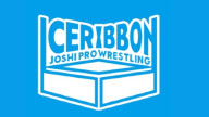 Ice Ribbon 16 March 2025 Full Show Online